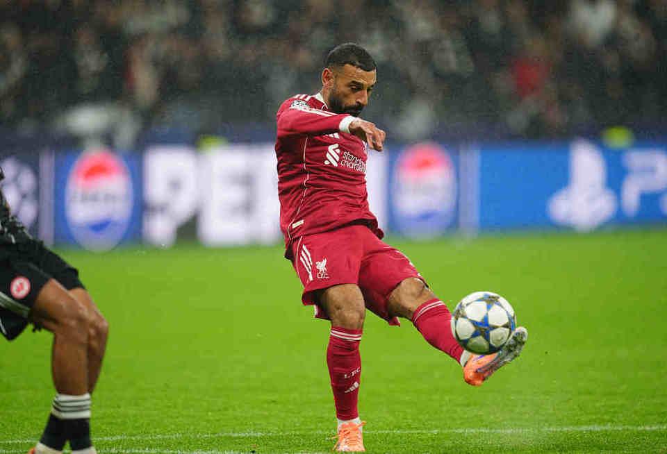 未顾中路包, 显得十分无, ws 未顾中路包, 显得十分无, ws